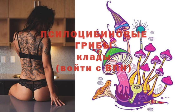 прущая мука Алзамай