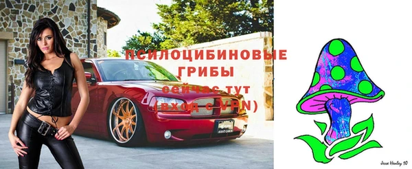 марки nbome Алексеевка